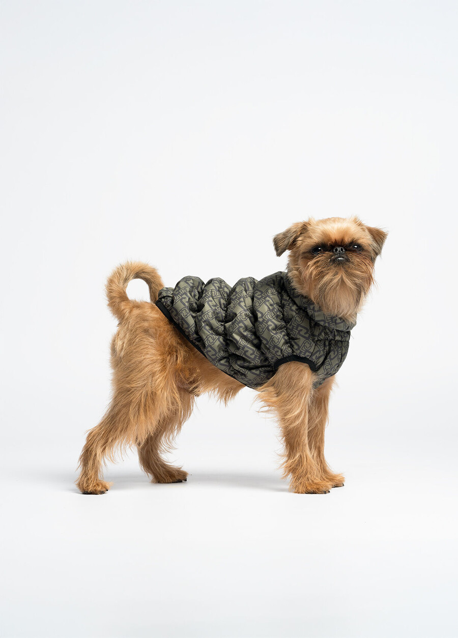 liu jo pets vadderad jacka