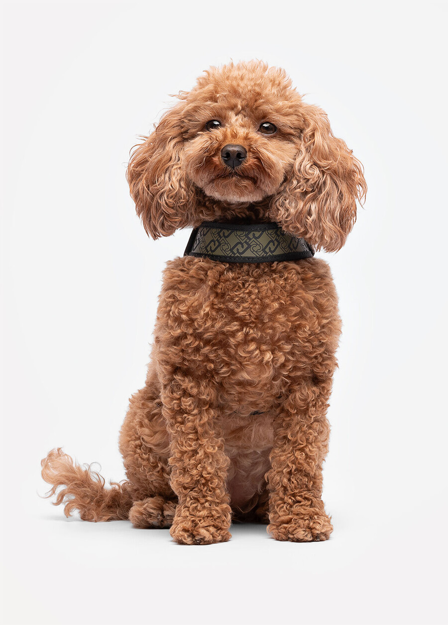 liu jo pets sele