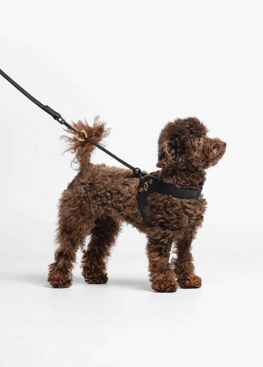 liu jo pets sele